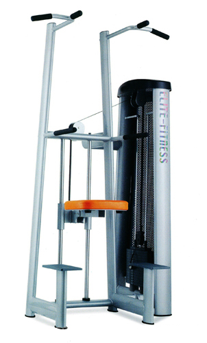 11. CHIN DIP ASSIST MACHINE