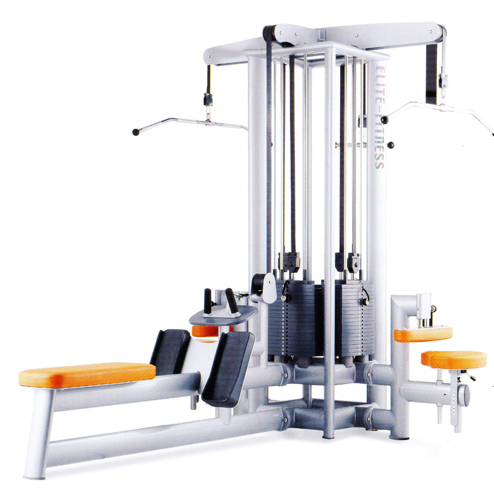 29. PEAGASUS MULTIGYM (4 stations)