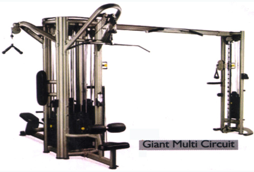 011 GIANT CIRCUIT MULTIGYM