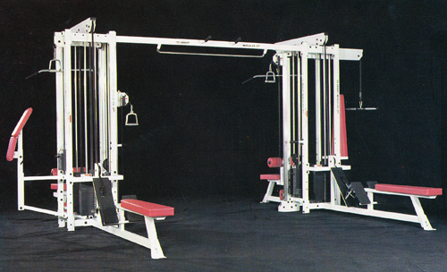 012 DUAL TOWER MULTIGYM