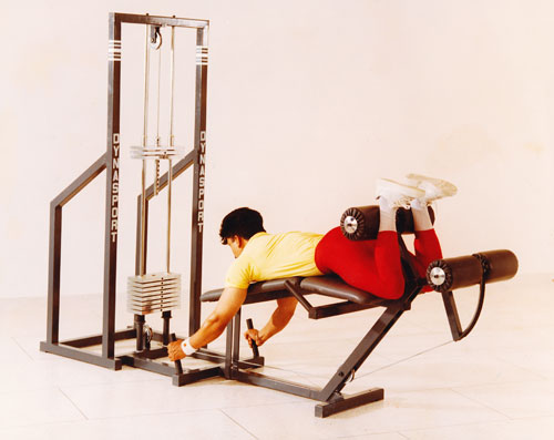 07LEG EXTENSION  LEG CURL MACHINE (Leg Curl View)