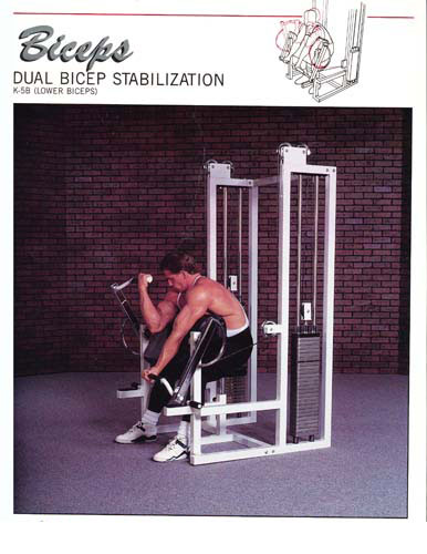 12_dls