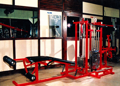 18MULTI LEG TRAINING MACHINE(Leg Extensions  Leg Curl + Standing Calf  Heel Raise + Standing Leg Curl + Free Squats)