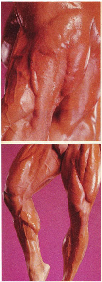 health