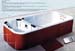 01 ELITE SWIM & SPA POOL