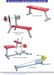Delux-Baisc-Gym-Series-4